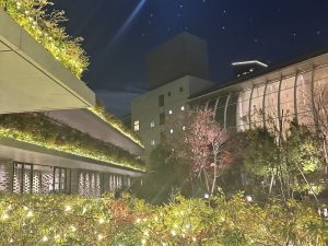 【保存版】サロン本店と、月一出店情報まとめ